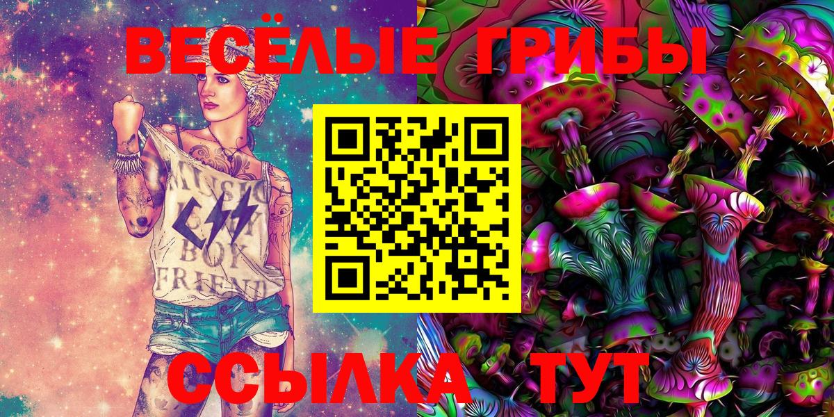 Галлюциногенные грибы прущие грибы  Вход с VPN  Псилоцибиновые грибы Psilocybine cubensis  Новороссийск 