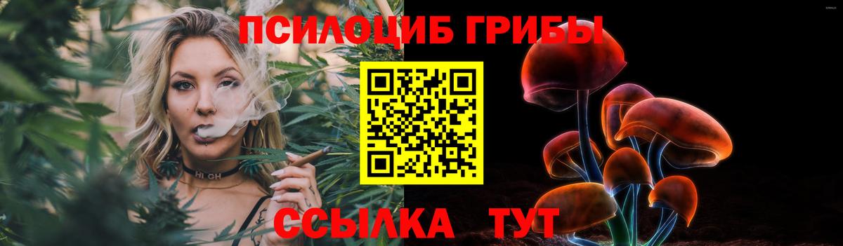 Псилоцибиновые грибы ЛСД Новороссийск